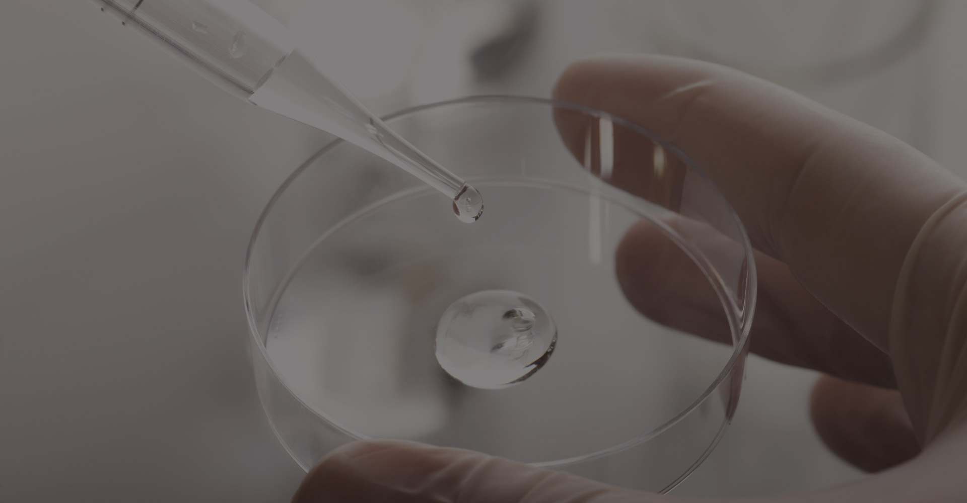 北京羅倫過濾技術集團有限公司